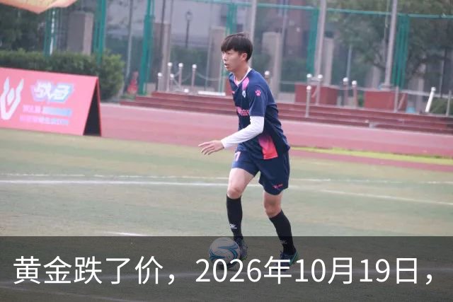 黄金跌了价，2026年10月19日，中国黄金最新价格，人民币黄金最新价格